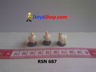 rsn 687  large2